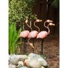 Accent Plus Flamingo Flock Lawn Ornament